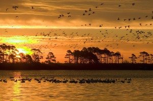 Environmental Science Careers are diverse.