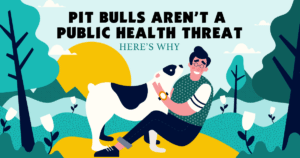 pit bulls public health