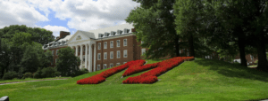 University of Maryland University College